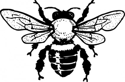 蜂蜜の蜂クリップアート ベクター クリップ アート - 無料ベクター