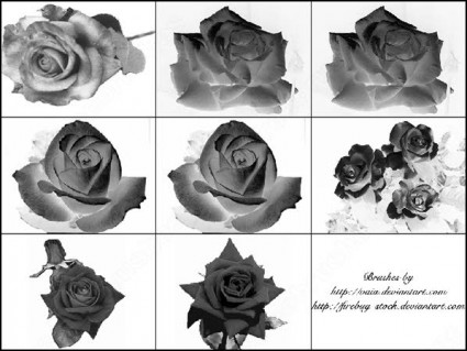 9 のバラの花 photoshop のブラシ photoshop のブラシ