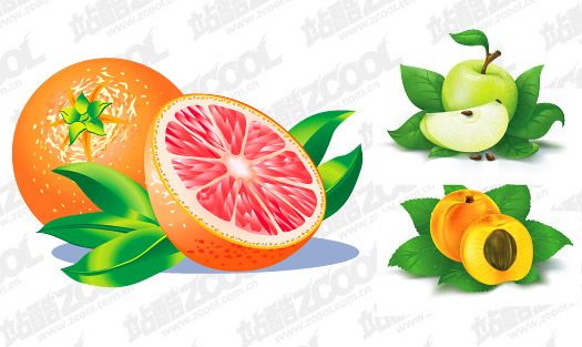 オレンジ、リンゴ、桃のベクター素材