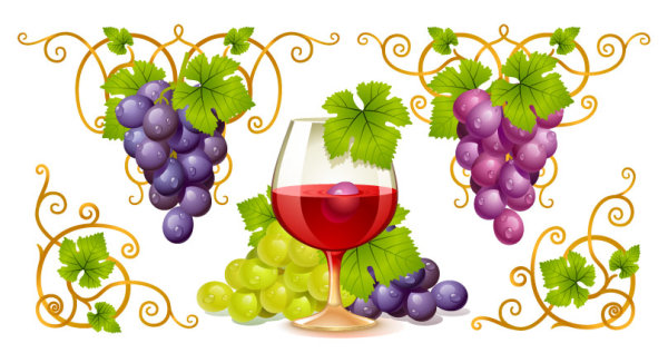 ベクトル ブドウとワイン