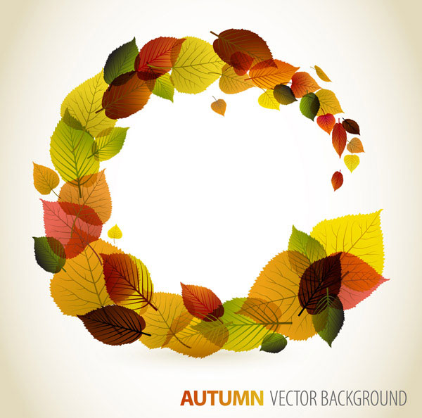 秋の葉のグラフィック ・ デザインのベクトル材料-4