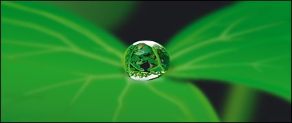 水の葉ベクター素材 2 ベクター工場 - 無料ベクター