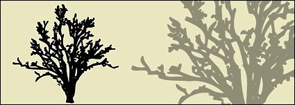 ベクターの木の植物 - 無料ベクターをベクターします。