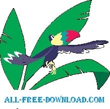 オオハシ 4 ベクター漫画 - 無料ベクター