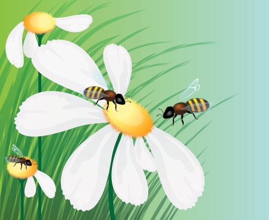 美しい花背景 03 ベクター無料ベクター 2.86 MB