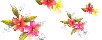 手描きの花素材 psd 8 花 PSD ファイル - 無料の psd 層状