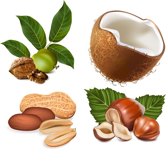 いくつかのナットのベクター無料ベクター 8.08 MB