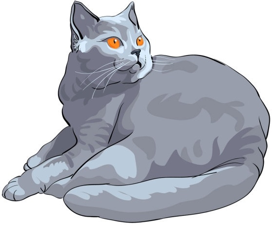 動物猫 03 ベクター無料ベクター 329.63 KB