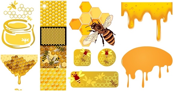 蜂蜂蜜ハニカム ベクター無料ベクター 10 23 メガバイト 無料素材イラスト ベクターのフリーデザイナー