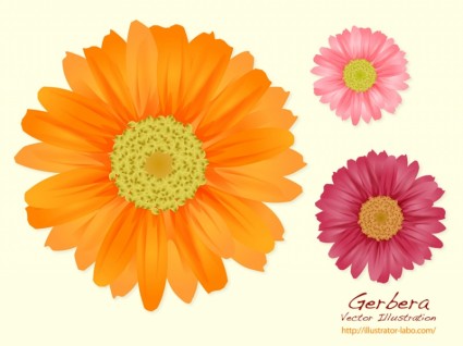 夏の花のベクター花 無料ベクター 無料素材イラスト ベクターのフリーデザイナー