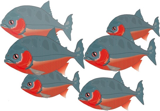ピラニア魚カラフルな漫画のスタイルは自由に描画ベクター 1 44 Mb 無料素材イラスト ベクターのフリーデザイナー