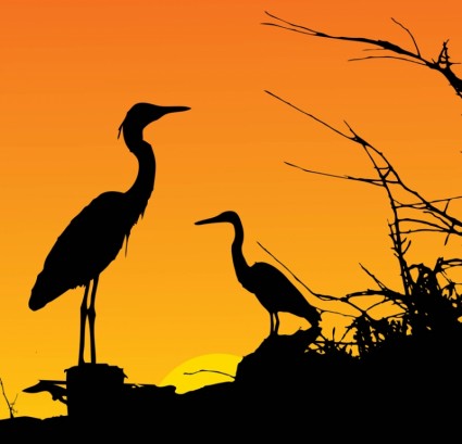 コアラ クリップアート ベクター クリップ アート - 無料ベクター