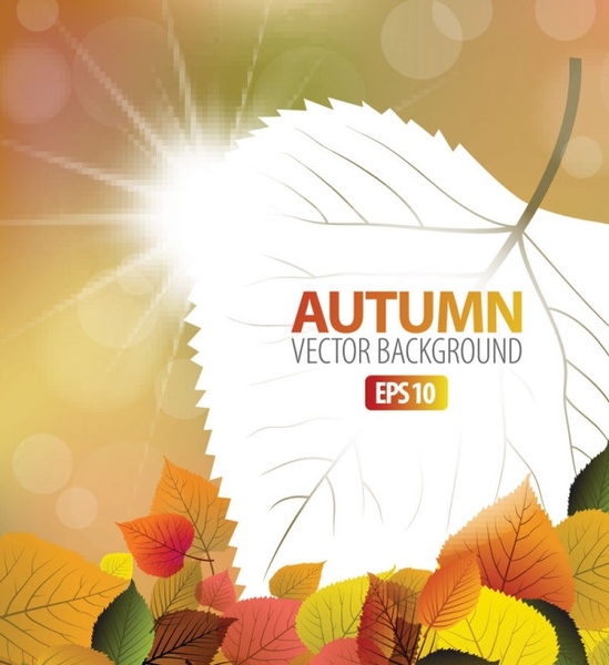 美しいメープル リーフ背景 05 ベクター無料ベクター 2.62 MB