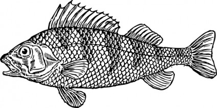 うろこ状の魚のクリップアート ベクター クリップ アート 無料ベクター 無料素材イラスト ベクターのフリーデザイナー