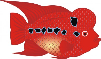 花の角魚のクリップアート ベクター クリップ アート - 無料ベクター