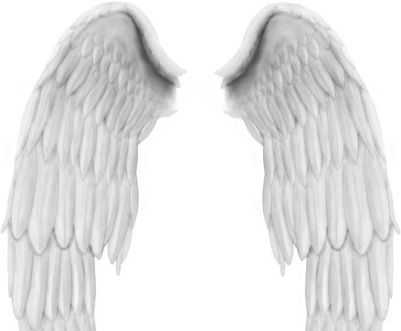 天使の羽 PSD ファイル無料 psd 1.89 MB