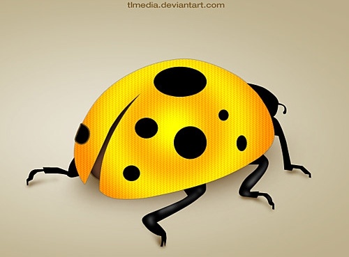 レディー バグ PSD 無料 psd 489.32 KB