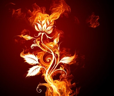 燃える花画像無料写真素材 2 84 Mb 無料素材イラスト ベクターのフリーデザイナー