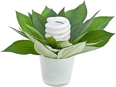 緑の植物とあわせたランプ無料ストック写真 3.78 MB のストック フォト