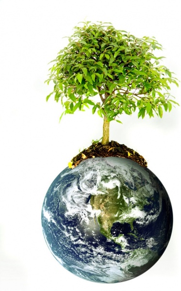 地球のフリー写真素材 5 58 Mb に木の成長 無料素材イラスト ベクターのフリーデザイナー