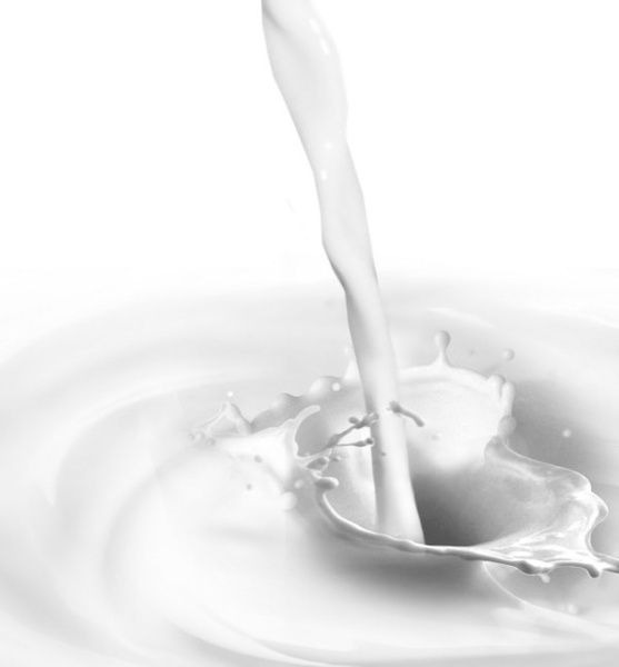 インスタント高精細溶融のミルクに画像フリーのストック写真 245.70 KB