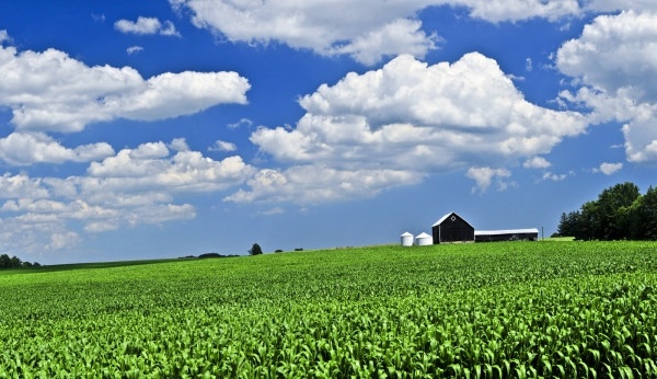 農場の風景の hd 画像フリーのストック写真 12.41 MB