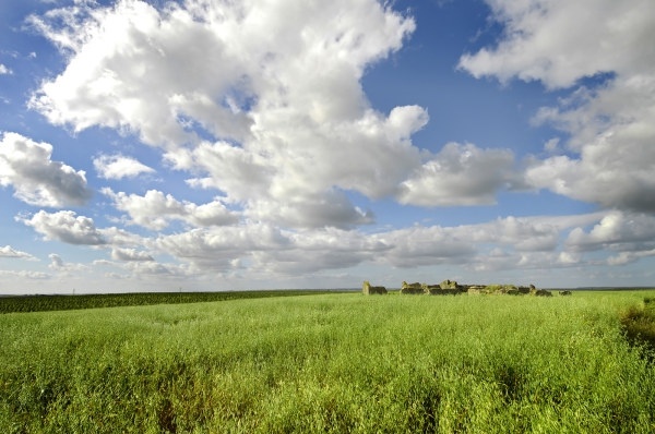広い草原の Hd イメージのフリー写真素材 10 18 Mb 無料素材イラスト ベクターのフリーデザイナー