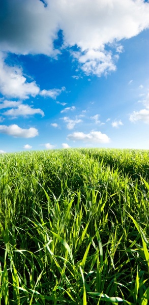 芝生の Hd 画像 7 フリーのストックから青い空草写真 26 76 Mb 無料素材イラスト ベクターのフリーデザイナー