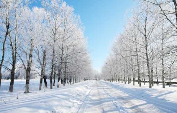 冬の風景 7 フリーのストックの高精細溶融画像写真 3 57 Mb 無料素材イラスト ベクターのフリーデザイナー