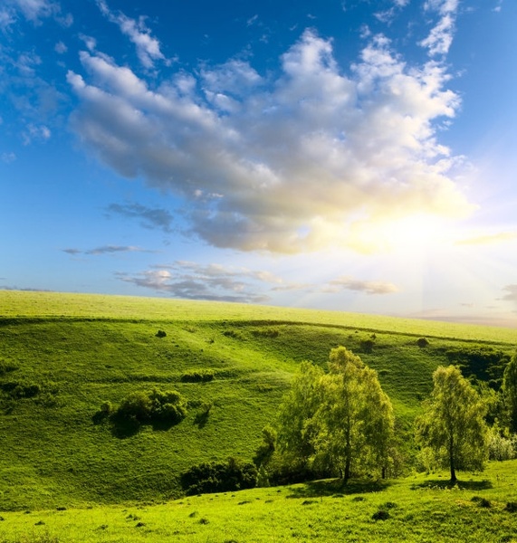 美しい草原高精細溶融画像 4 フリーのストック写真を 19 70 Mb 無料素材イラスト ベクターのフリーデザイナー