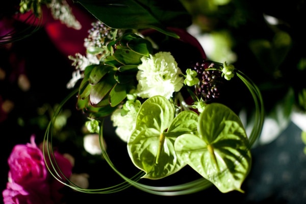 花高精細溶融画像 1 フリーのストック写真 8.84 MB