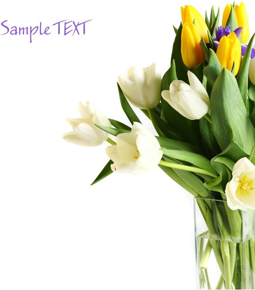 Bdo 0 ベクターロゴ - 無料ベクター