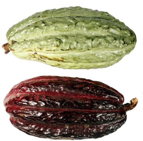 コーヒー豆は果実 hd 画像 1 無料ストック写真 2.08 MB