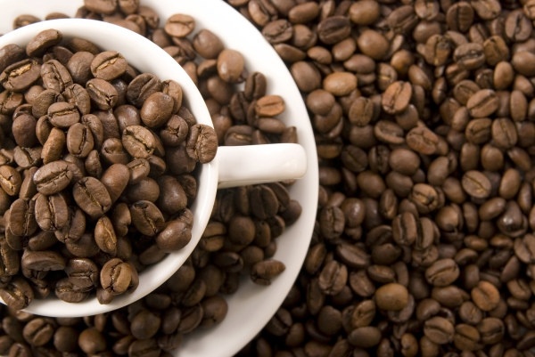 コーヒー豆のコーヒー カップは高精細溶融画像 6 無料ストック写真 1 69 Mb 無料素材イラスト ベクターのフリーデザイナー