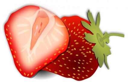 イチゴ無料ベクター 257.75 KB