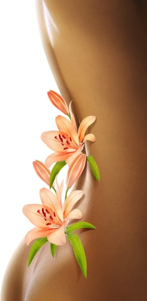 セクシーな美女バック 04 hd 画像無料ストック写真 3.76 MB