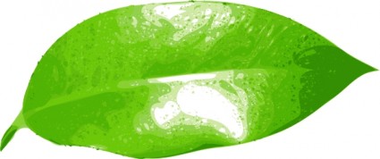 フィカス クリップアート ベクター クリップ アート - 無料ベクター