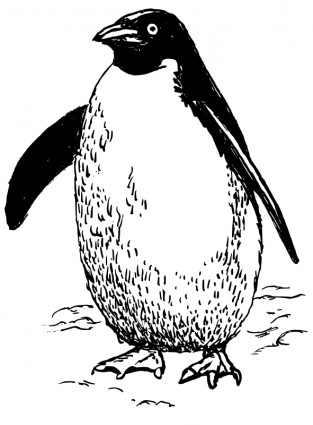 Penguin2 無料ベクター 114.25 KB