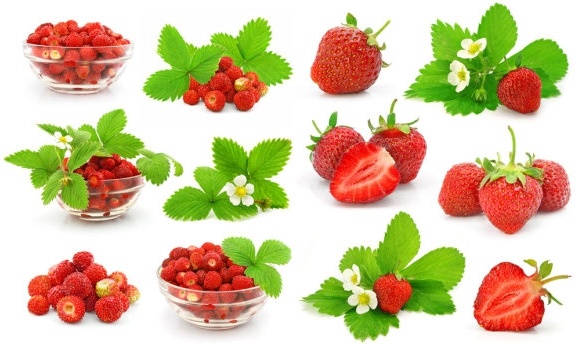 新鮮なイチゴの hd 画像 1 無料ストック写真 15.57 MB