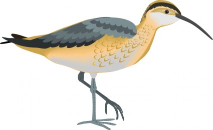 鳥 62 無料ベクター 113.84 KB