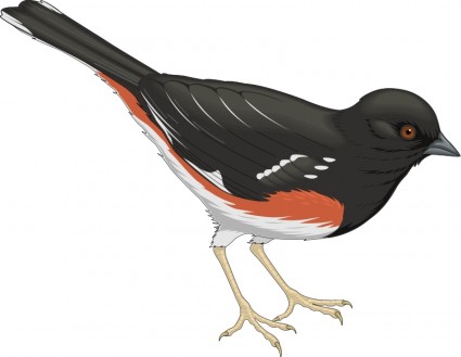 鳥 11 無料ベクター 166.47 KB