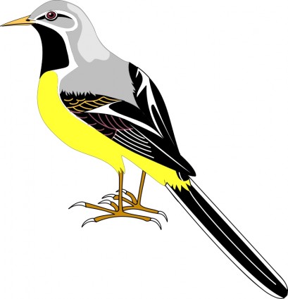 鳥 23 無料ベクター 114.18 KB