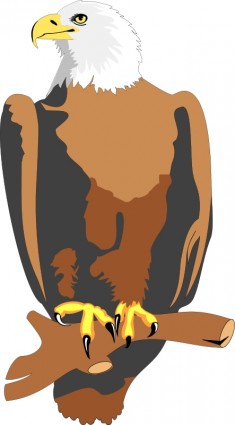 鳥 28 無料ベクター 90.98 KB