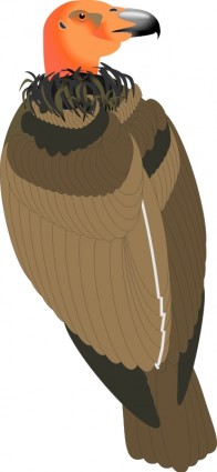 鳥 29 無料ベクター 131.81 KB