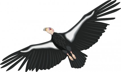 鳥 31 無料ベクター 155.56 KB