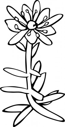 GG ユキノシタ aizoides 無料ベクター 78.81 KB