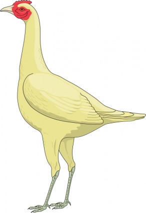 鳥 44 無料ベクター 106.23 KB