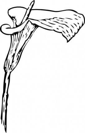 ユリ飾り ☆ シャッパン クリップアート ベクター クリップ アート - 無料ベクター