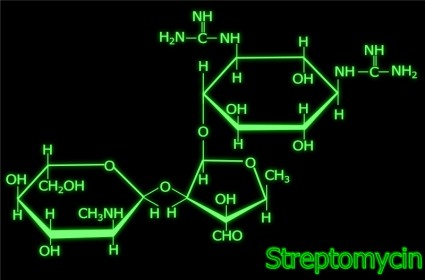 ストレプトマイシン構造自由ベクター 144.38 KB