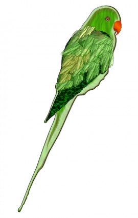 オウム自由ベクター 169.06 KB